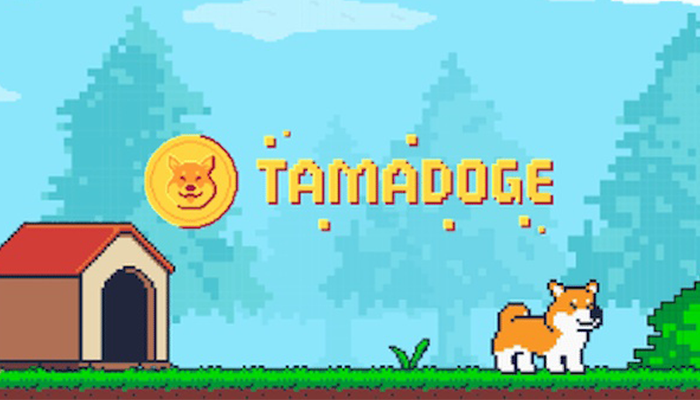 เกม NFT Tamadoge 01